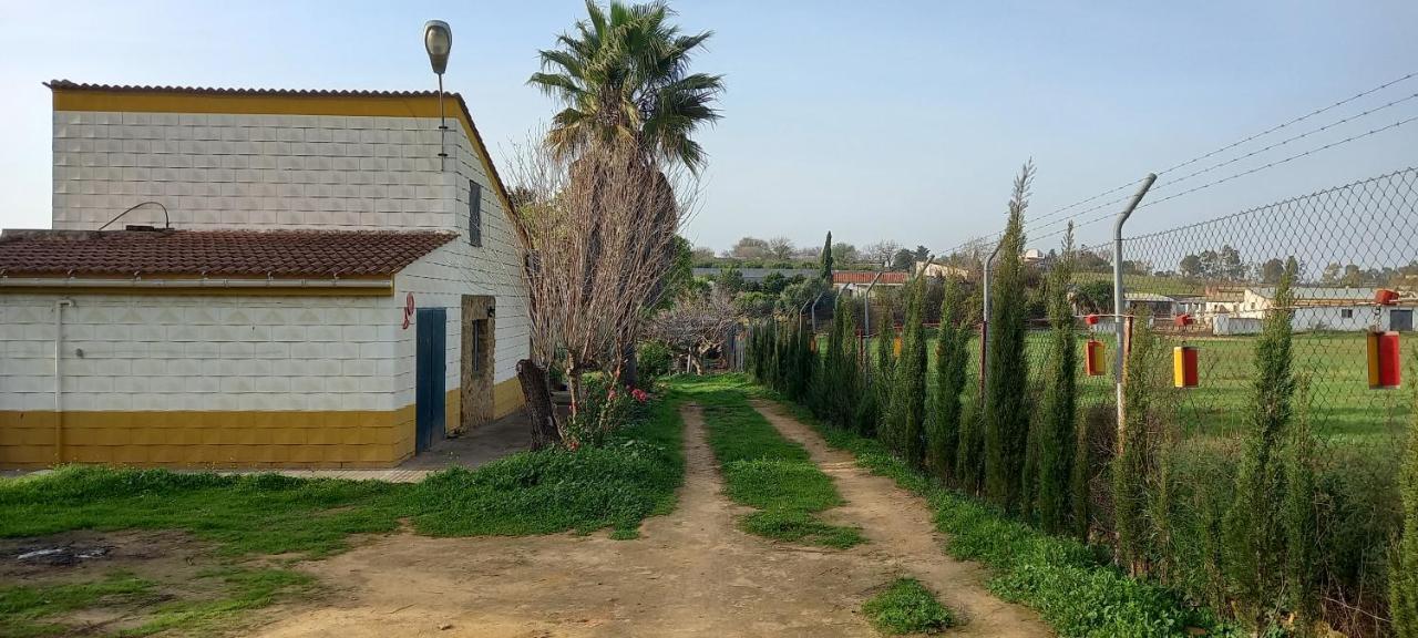 Huerta El Genoves Villa Carmona  Exterior photo